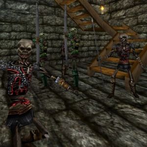 Skull of High Acolyte Quest Live 2.jpg