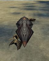 A Couple Unlucky Sun Bathers