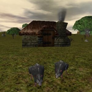 15.2N, 47.6E - Farm Live 2.jpg