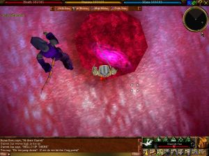 Virindi Towers 25 Live.jpg