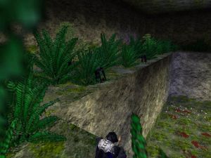 AC1 Dec02 03 thumb.jpg