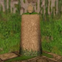 Servant of Enlightenment