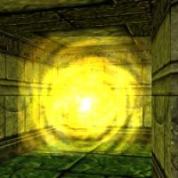 The Callous Heart Left Wing