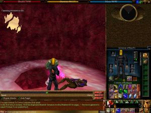 Virindi Towers 26 Live.jpg