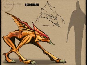 AC2 Reedshark Art.jpg