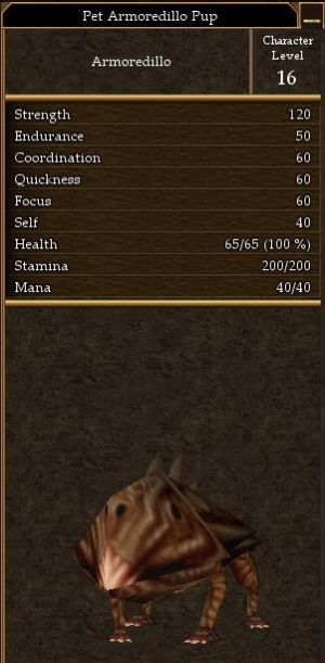 Pet Armoredillo Pup.jpg