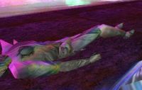 Corpse of a Servitor of Asheron.
