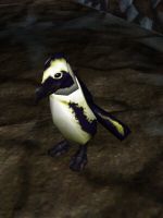 Cave Penguin