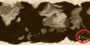 Stormwaltz Q&A image 2.jpeg