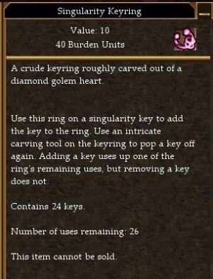 Singularity Keyring.jpg