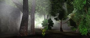 Underground Forest Live 3.jpg