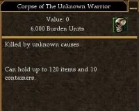 Corpse of The Unknown Warrior