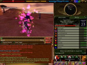 Ayan Baqur Virindi Invasion Live 6.jpg