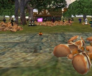 2013 10 - Halloween Wintersebb 8 Live.jpg