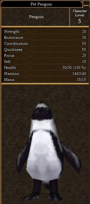 Pet Penguin.jpg