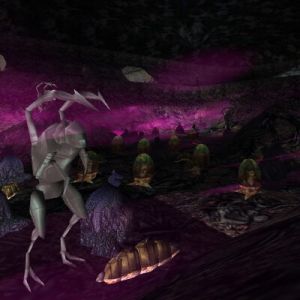 Secret Putiputi Place 6 Live.jpg