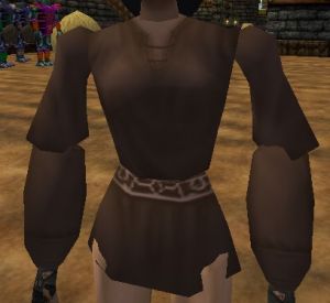 Smock (Store) Dryreach Brown Live.jpg