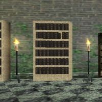 Bookshelf in central room