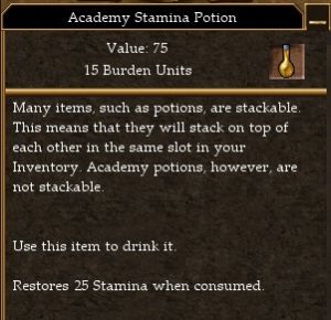 Academy Stamina Potion.jpg