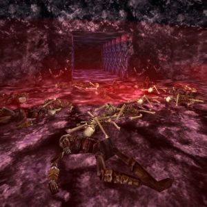 Fenmalain Chamber Live.jpg