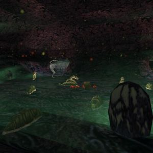 Secret Putiputi Place 7 Live.jpg