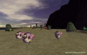 Teaser 200607JackCat.jpg