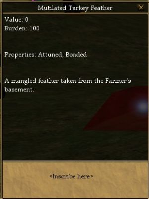 Mutilated Turkey Feather.jpg