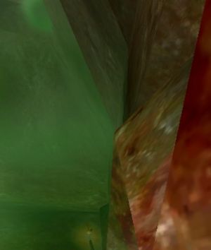 Stomach Wall Live.jpg